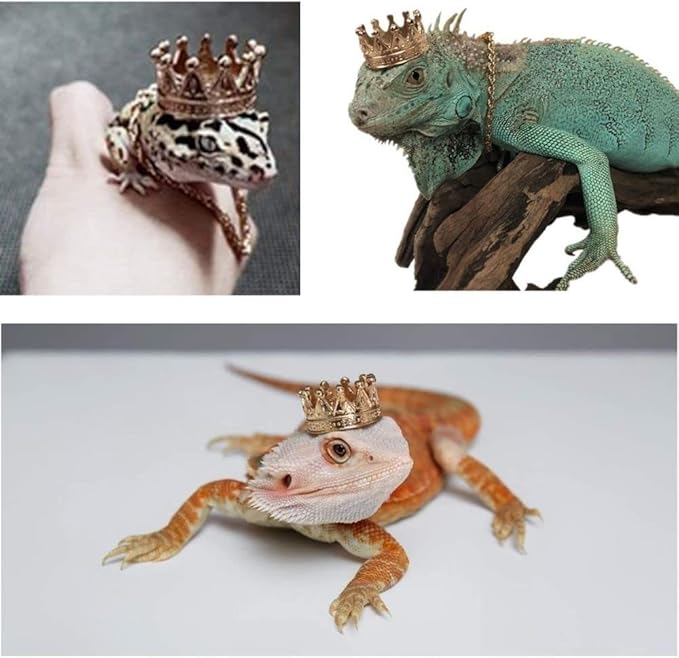2Pcs Lizard Crown Necklace Set Metal Lizard Outfit Reptile Clothes Accessories Lizard Photo Props for Bearded Dragons Iguana Amphibians and Other Small Animals (Gold) KUNBIUH