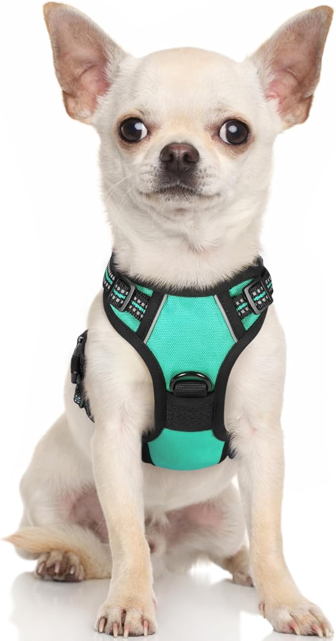 rabbitgoo Dog Harness, No-Pull Pet Harness with 2 Leash Clips, Adjustable Soft Padded Dog Vest, Reflective No-Choke Pet Oxford Vest with Easy Control Handle for Small Dogs, Turquoise, XS - PAWPICO