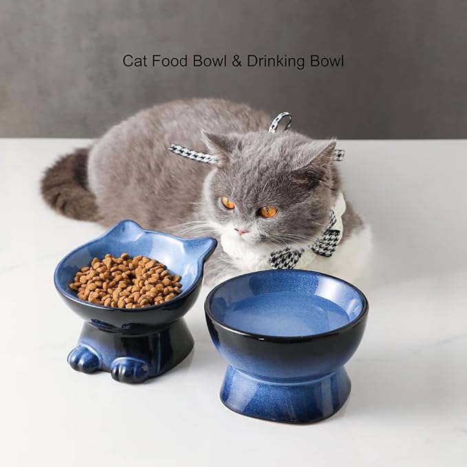 Nihow Elevated Cat/Dog Bowls Set : 5 Inch Ceramic Raised Cat Food and Water Bowl Set for Protecting Pet's Spine - Feeding & Watering Supplies for Pets- Elegant Blue & Black (2PC) - PAWPICO