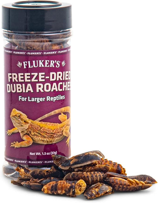 Fluker's Freeze Dried Dubia Roaches, Ideal for Lizards, Reptiles, Birds, Fish, Hedgehogs, 1.7 oz Flukers