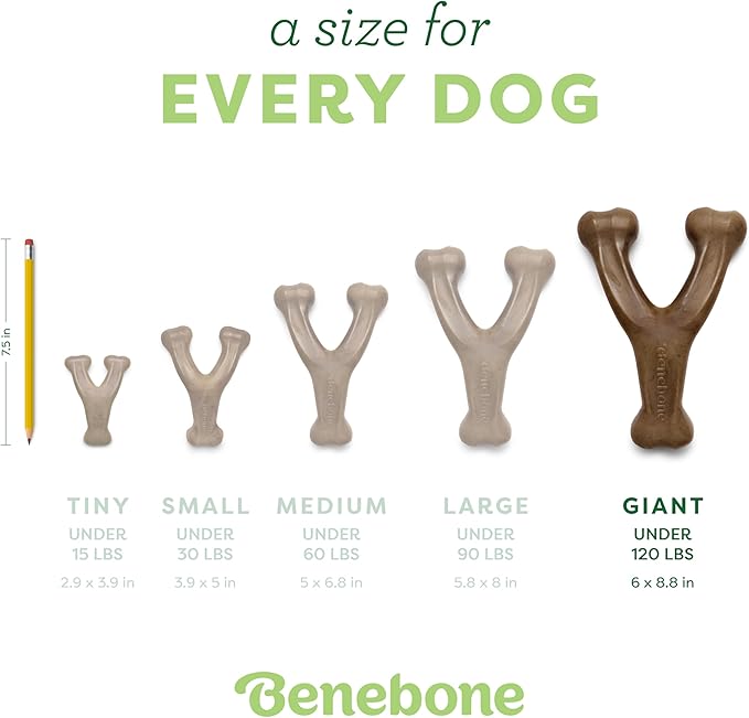 Benebone Wishbone Durable Dog Chew Toy for Aggressive Chewers, Made in USA, Giant, Real Bacon Flavor - PAWPICO