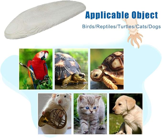 2PCS Natural Cuttlebone for Tortoise Turtles Snails Birds Cockatiels Parakeets Budgies Reptiles Small Animals(4"-4.5",Small) PAWPICO