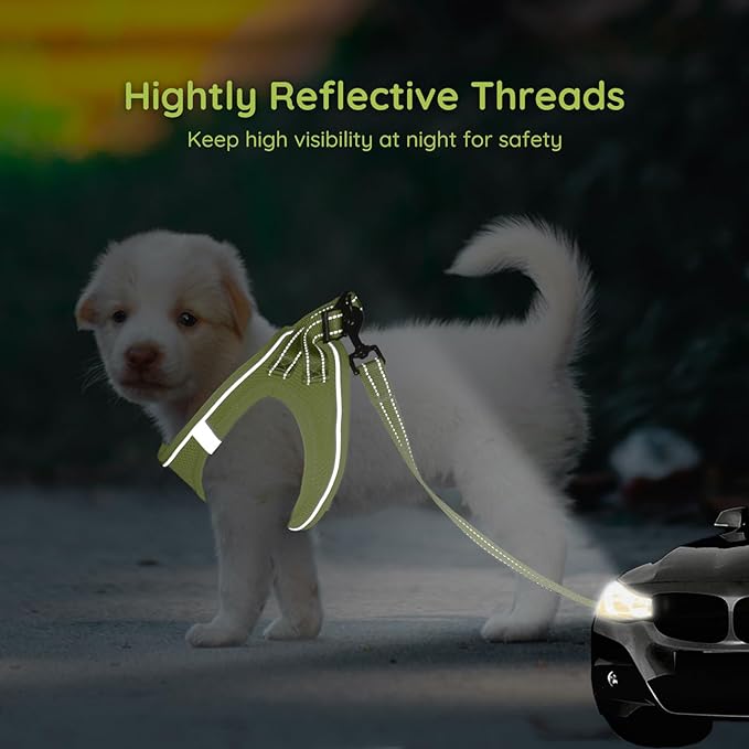 BELLA & PAL Puppy Harness with Leash Set, Dog Harness for Small Dogs No Pull, Dog Leash for Small Dogs, Step in Harness for Extra Small Dogs, Avocado Green Harness, XS BELLAPAL