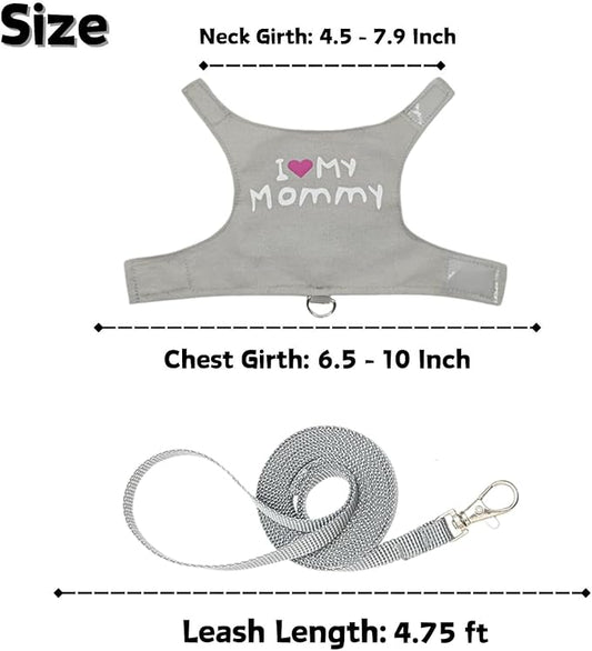 Bearded Dragon Harness and Leash Set - Adjustable Lizard Harness with Glow in The Dark Print Outdoor Traction Rope Walking Leash Reptile Halloween Costume Accessories for Small Pets (Grey) SEZDEKI