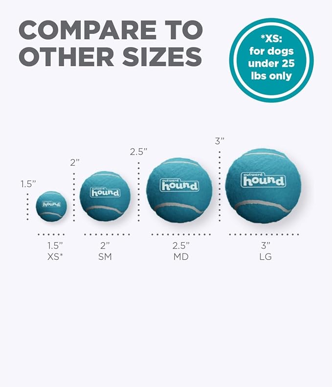 Outward Hound Squeaker Ballz Fetch Dog Toy, Medium - 4 Pack - PAWPICO