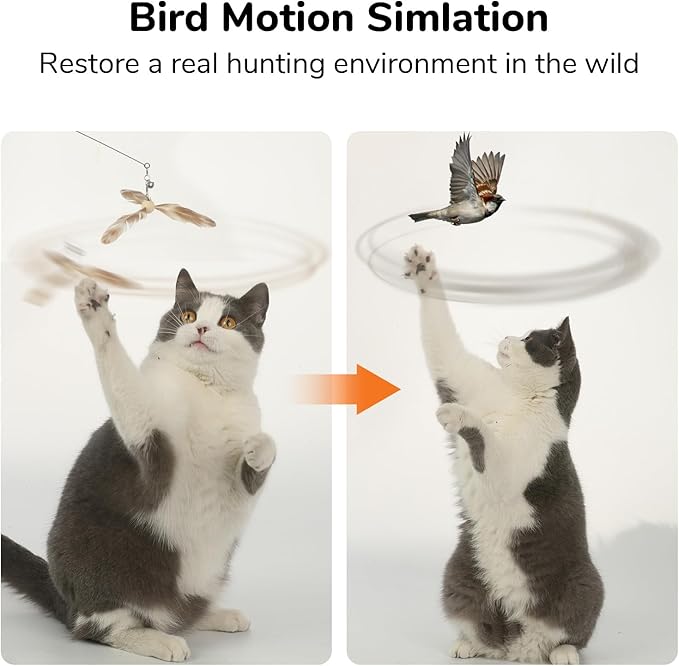 FUKUMARU Cat Wand Toy Natural Feather, Cat Toy Feather Replacement (3 PCS Feather Replacement) - PAWPICO