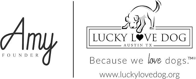 Lucky Love Dog - Adjustable Dog Collar with Easy Click Buckle for Small to Large Dogs, Durable, & Comfortable Collar for Male & Female Dogs, Pet Collar for Puppies & Adult Dogs - Carriebelle, XL LuckyLoveDog
