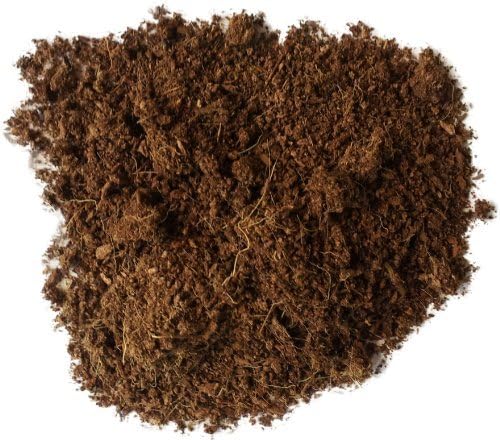 Josh's Frogs Coco Block Fine Coco Fiber (5 kg/38 quarts) JoshsFrogs
