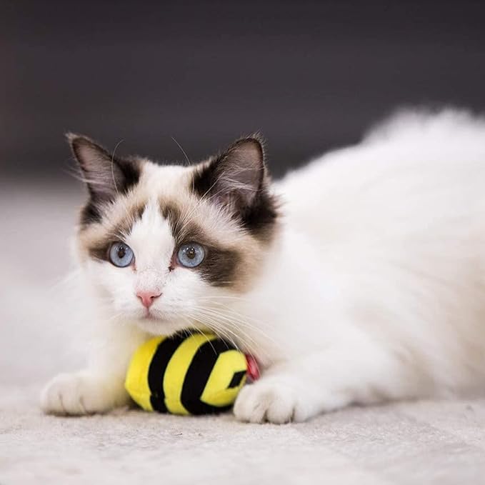 Gigwi Interactive Squeaking Cat Toy,Chirpy Bee Sound Toy for Cats,Melody Chaser Play Squeak Kitten Toy for Boredom - PAWPICO