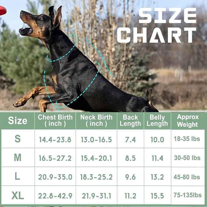 No Pull Dog Harness for Medium Dogs, Adjustable No Choke Pet Vest with Dog Leash Fit Smart Reflective Pet Walking Harness for Training Easy Control Soft Handle Green M BUMBIN