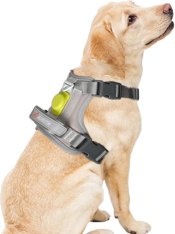AUROTH Dog Harness Small Sized Dog, Small No Pull Dog Harness, Dog Harness for Small Dogs, Harness Small Size Dog Vest Harness with Handle, Grey S AurothPets