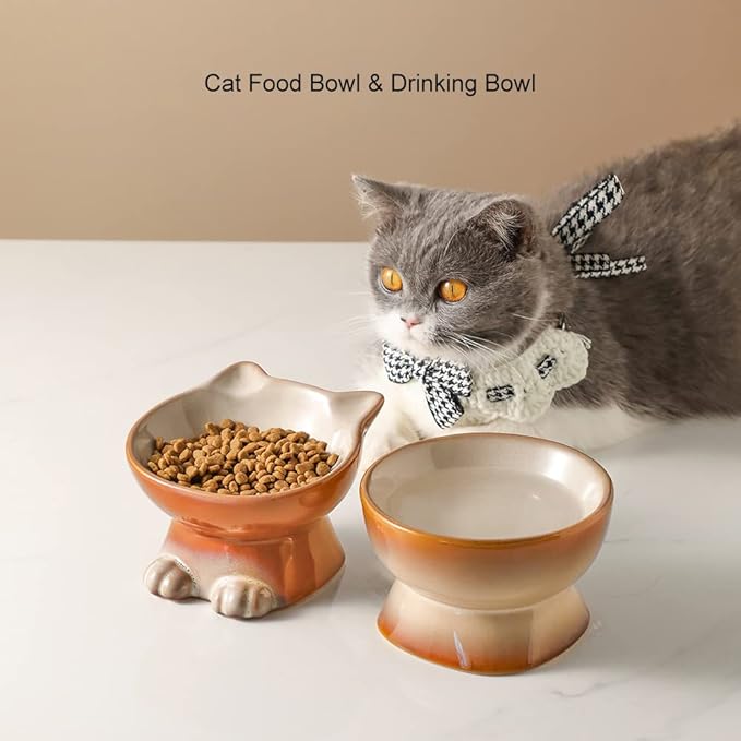 Nihow Elevated Cat/Dog Bowls: 6.25 Inch Ceramic Raised Cat Food & Water Bowl Set for Protecting Pet's Spine - Feeding & Watering Supplies for Cat/Small Size Dog - Elegant Brown (6.8 OZ /1 PC) - PAWPICO