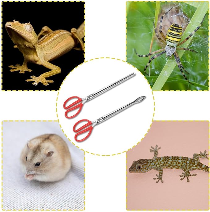 2pcs Snake Feeding Tongs, 15 inch Snake Hook Snake Grabber Tool Snake Stick Reptile Tongs for Bearded Dragon Snake Reptile Gecko Tank Accessories Terrarium Supplies TUICARE