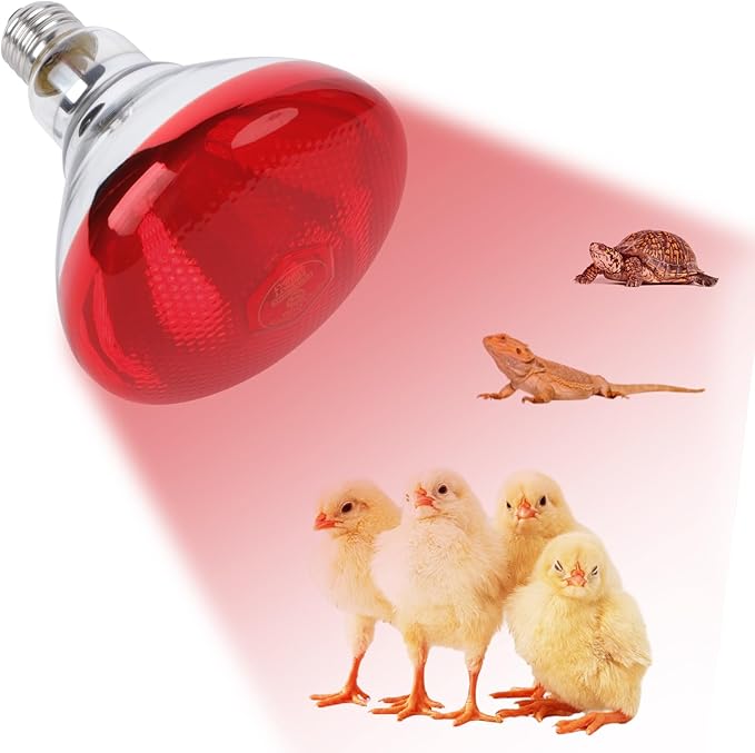 250W Red Heat Lamp Bulbs for Chicken,Infrared Flood Light Heat Lamp Bulb, Incandescent Light Heat Lamps for Chicks, Reptile, Pets, Par38 Glass E26 Base REPTIHOME