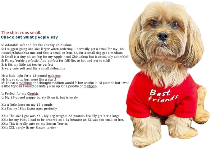 Cute Dog Clothes,Dog T Shirt for Medium Dogs.Dog Clothes for Small Dogs Girl Boy,Puppy.Breathable Soft Dog Costume Pet Dogs Cats,Pet Pullover Jumper,Cat Clothes (XL-(16~20lb), Chest~20", Aqua) - PAWPICO