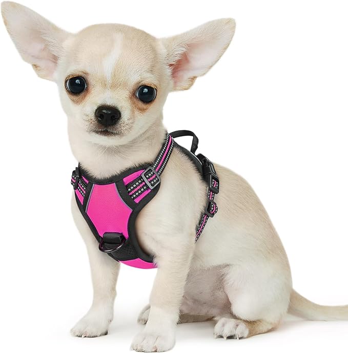 Eagloo Small Dog Harness No Pull, Service Vest with Reflective Strips and Control Handle, Adjustable and Comfortable for Easy Walking, No Choke Pet Harness with 2 Metal Rings, Rose Red, XS GoExplorewithEagloo