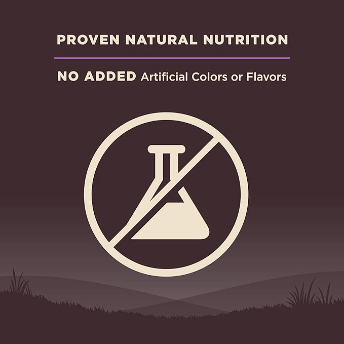 Wellness CORE Grain-Free Senior Dry Dog Food, Made in USA with Natural Ingredients, No Meat by-Product, Fillers, Artificial Flavors, or Preservatives (12-Pound Bag, Turkey) - PAWPICO