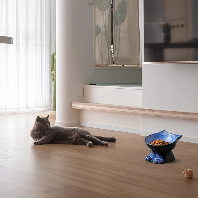 Nihow Slanted Elevated Cat Bowls: 5 Inch Ceramic Raised Cat Food Bowl for Protecting Pet's Spine - Microwave & Dishwasher Safe -Elegant Blue & Black (4.5 OZ /1 PC) - PAWPICO