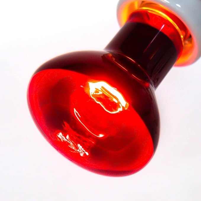 REPTIZOO 75W Reptile Heat Lamp Bulb 2PCS Infrared Heat Emitter Red Heat Lamp for Reptile Amphibian, Infrared Basking Spot Light Bulb REPTIZOO