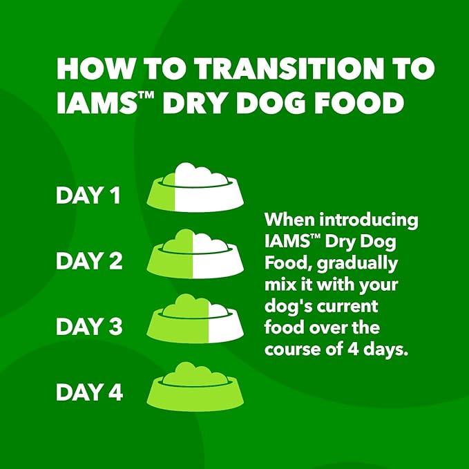 IAMS Minichunks Adult Dry Dog Food Lamb & Rice Recipe Dog Kibble, 30 lb. Bag - PAWPICO