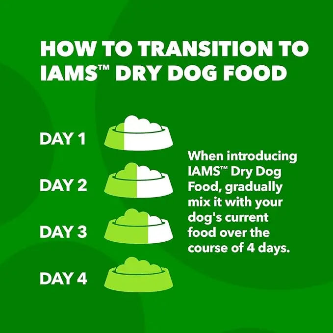 IAMS Proactive Health Minichunks Adult Dry Dog Food with Real Chicken and Whole Grains, 7 lb. Bag - PAWPICO