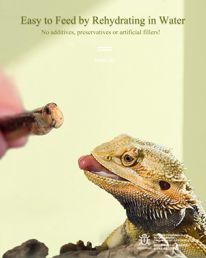 Tasty Freeze Dried Grasshopper Reptile Food for Turtles, Bearded Dragon, Hedgehog,Lizard, Chameleon, Birds (3 OZ) BNYEE