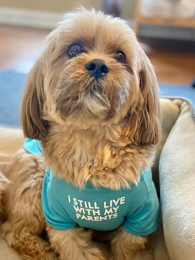 Cute Dog Clothes,Dog T Shirt for Medium Dogs.Dog Clothes for Small Dogs Girl Boy,Puppy.Breathable Soft Dog Costume Pet Dogs Cats,Pet Pullover Jumper,Cat Clothes (S-(4~8lb), Chest~14", Aqua) - PAWPICO