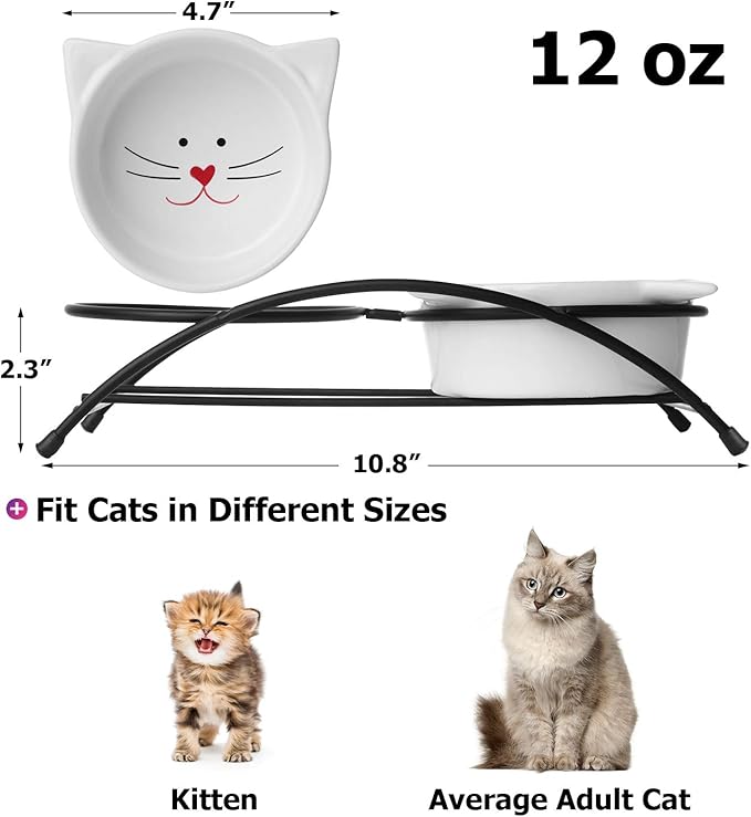 Y YHY Raised Cat Food Bowls,Pet Bowls with Stand,Ceramic Cat Dog Bowls Elevated,Cute Cat Dishes,12 Ounces,Dishwasher Safe - PAWPICO
