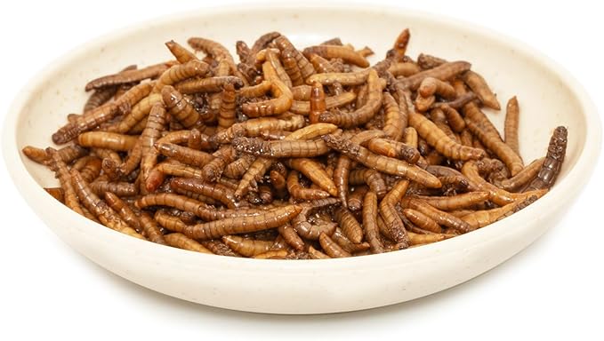6 Pack Canned Mealworms for Reptiles, Fish, Birds and Small Animals, Meal Worms, Healthy High Protein Treat, Reptile Bird Fish Food 7.2 Ounces Total Jadingfarm