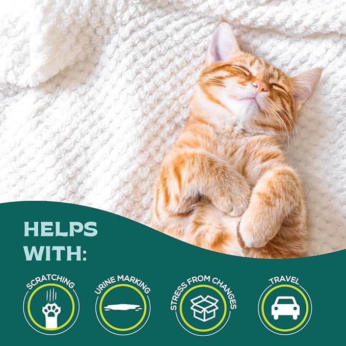 Pheromone Calming Spray for Cats 60mL bSereneCalmingforCatsandDogs