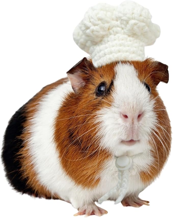 Guinea Pig Chef Hat - Hand Knitted Small Animal Cooking Chef Cap with Adjustable Strap Halloween Costume Outfit Prop Clothes Accessories for Rabbit Bunny Chinchilla Kitten Puppy (Medium) SEZDEKI