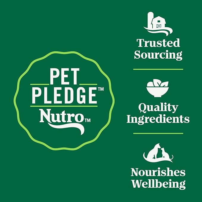 Nutro Wholesome Essentials Indoor Dry Cat Food, Chicken & Brown Rice Recipe, 14 lbs. - PAWPICO
