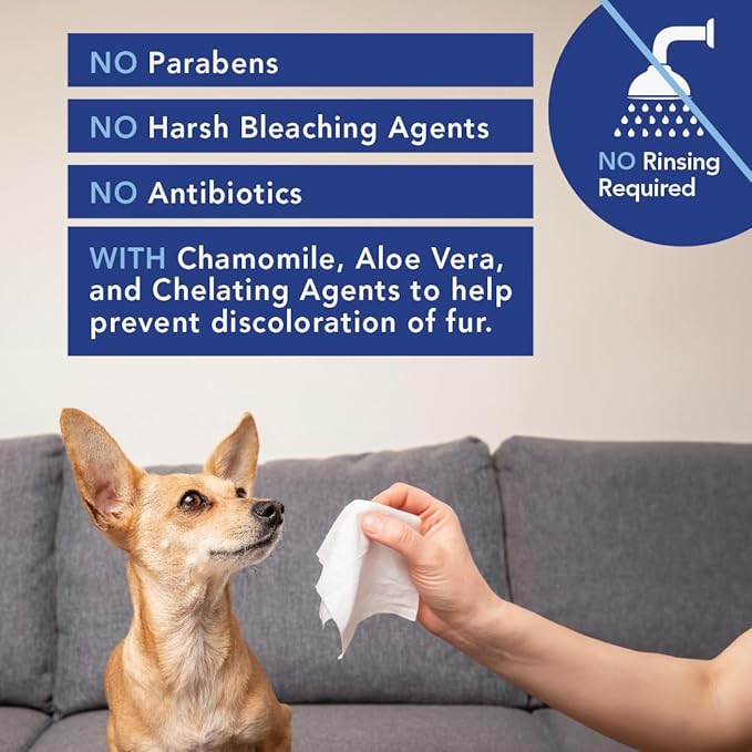 ANGELS’ EYES Face, Eye & Paw Cleansing & Tear Stain Wipe, Large 4”x7” Hypoallergenic Dog & Cat Wipes, Reduce Tear Stains, Dirt, and Discharge, Fragrance Free, 40 Count AngelsEyes