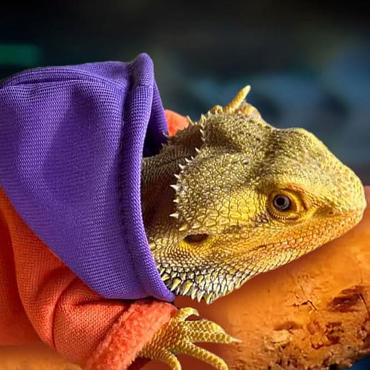 Lizard Clothes for Bearded Dragons Reptile Apparel Handmade Cotton Material Hoodies Gift for Lizard Small Animal Gecko Chameleon(Orange and purple) HOKABLE