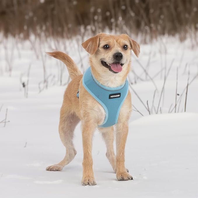 Voyager Aerolite No Pull Mesh Dog Harness with Lightweight, Soft, Breathable, Reflective Stitching, and Adjustable Straps for Walking, Running, Training, Heavy Duty and Durable - Baby Blue, XL BestPetSuppliesLLC