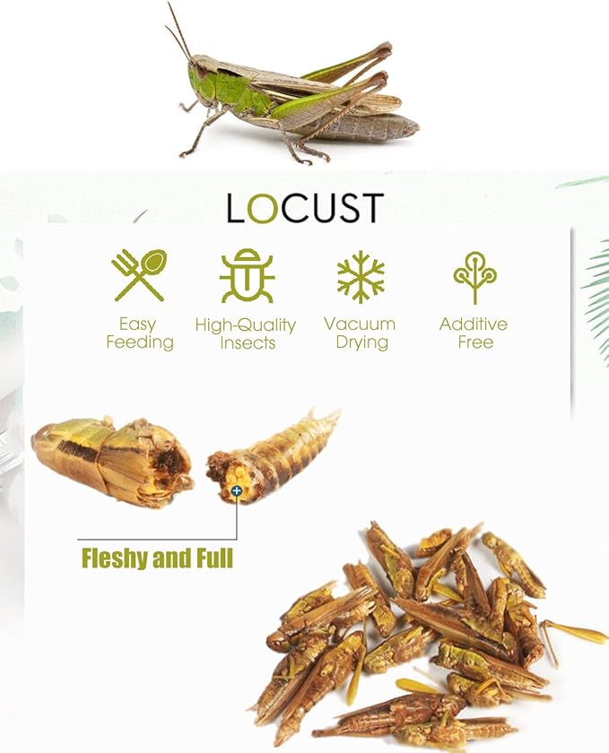 Tasty Freeze Dried Grasshopper Reptile Food for Turtles, Bearded Dragon, Hedgehog,Lizard, Chameleon, Birds (3 OZ) BNYEE