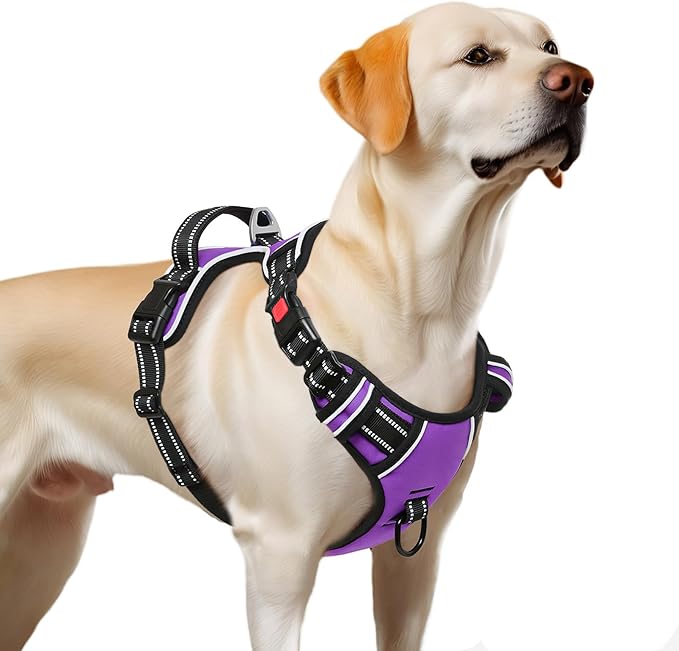 Timos Dog Harness Large Sized, No Pull Dog Harness with Neck Lockable Snap,No Choke Front Clip Dog Reflective Harness,Adjustable Metal Rings 3 Buckles,Easy Control Handle for Large Dogs Purple L Timos