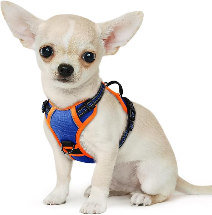 Eagloo Dog Harness for Large Dogs, No Pull Service Vest with Reflective Strips and Control Handle, Adjustable and Comfortable for Easy Walking, No Choke Harness with 2 Metal Rings, Blue & Orange, XS GoExplorewithEagloo
