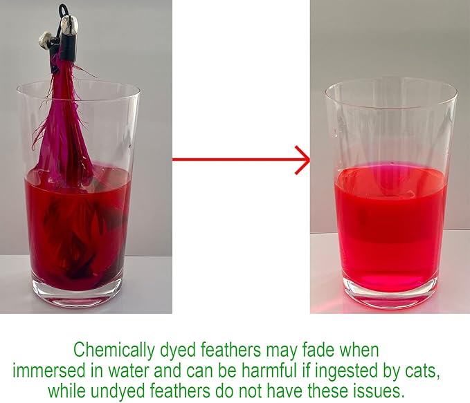 Cat Toys - No Chemical Dyeing Cat Feather Toys for Indoor Cats - Include Cat Wand and Natural Feather Refills - PAWPICO