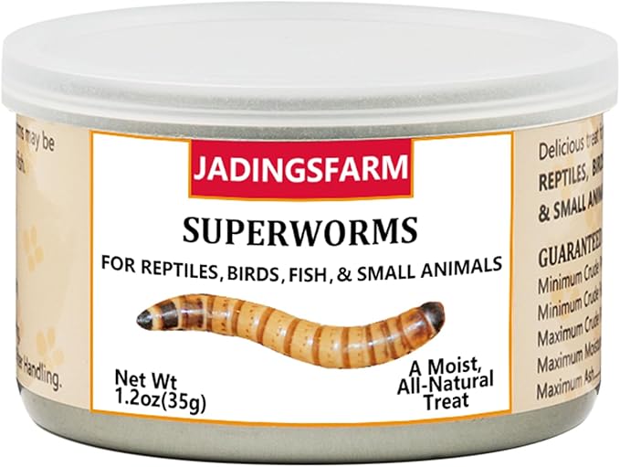 6 Pack Canned Superworms for Reptiles, Fish, Birds and Small Animals, Super Worms, Healthy High Protein Treat, Reptile Bird Fish Food 7.2 Ounces Total Jadingfarm