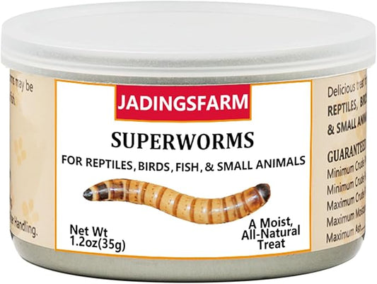 6 Pack Canned Superworms for Reptiles, Fish, Birds and Small Animals, Super Worms, Healthy High Protein Treat, Reptile Bird Fish Food 7.2 Ounces Total Jadingfarm