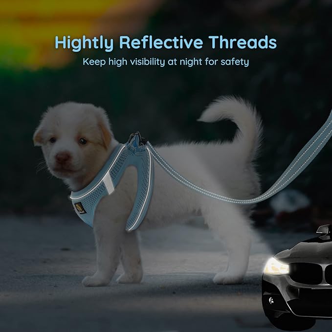 BELLA & PAL Puppy Harness with Leash Set, Dog Harness for Small Dogs No Pull, Dog Leash for Small Dogs, Step in Harness for Extra Small Dogs, Blue Harness, XXS BELLAPAL