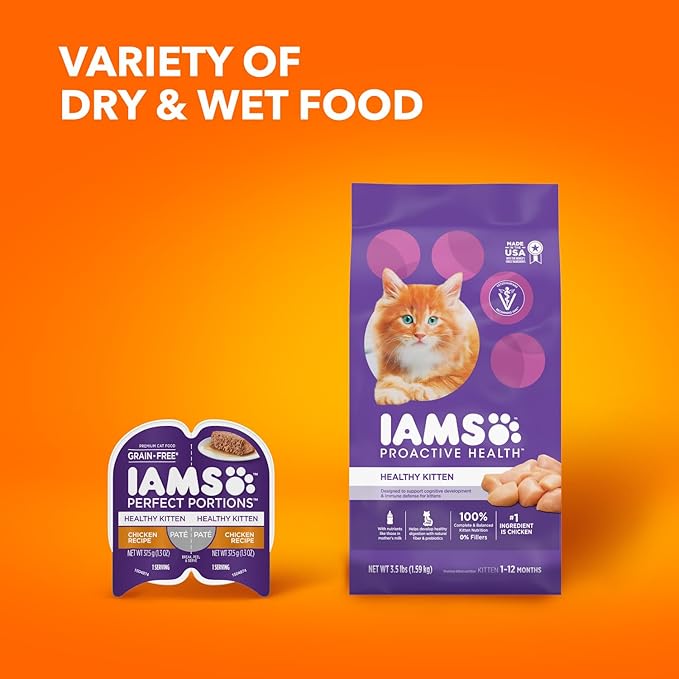 IAMS PROACTIVE HEALTH Healthy Kitten Dry Cat Food with Chicken, 7 lb. Bag - PAWPICO