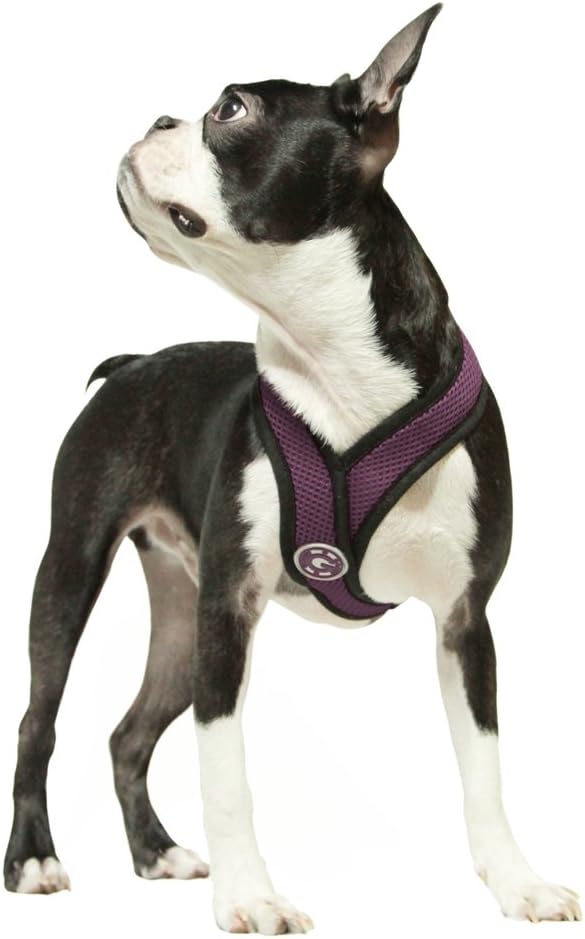 Gooby Comfort X Head In Harness - Purple, Medium - No Pull Small Dog Harness, Patented Choke-Free X Frame - Perfect on the Go Dog Harness for Medium Dogs No Pull, Small Dogs for Indoor and Outdoor Use Gooby