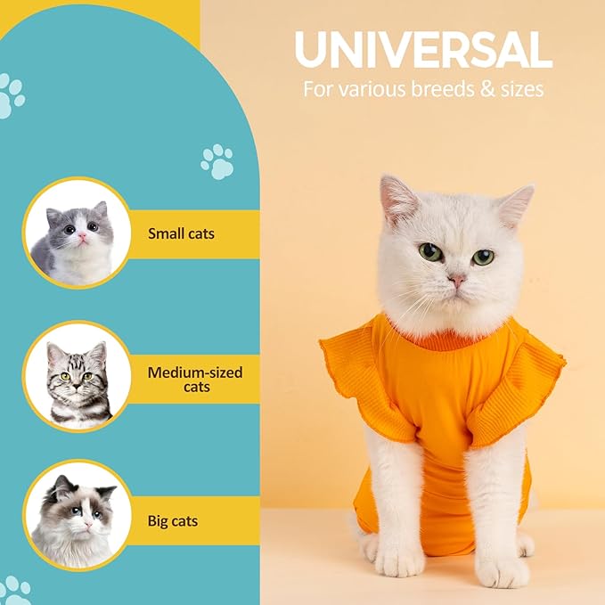 Avont Cat Recovery Suit - Post-Surgery Onesie for Cats, Alternative to Cone of Shame, Protective Spay Suit for Female Kitten, Ideal for Healing and Skin Conditions -Orange(L) Avont
