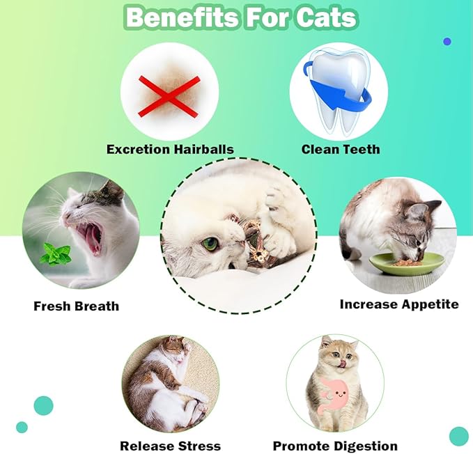 Cat Toys, 4 Packs Catnip Ball Toys, Nature Silvervine Stick Cage Cat Bell Balls, Catnip Toys for Cleaning Teeth, Relaxing Cats, for All Breeds - PAWPICO