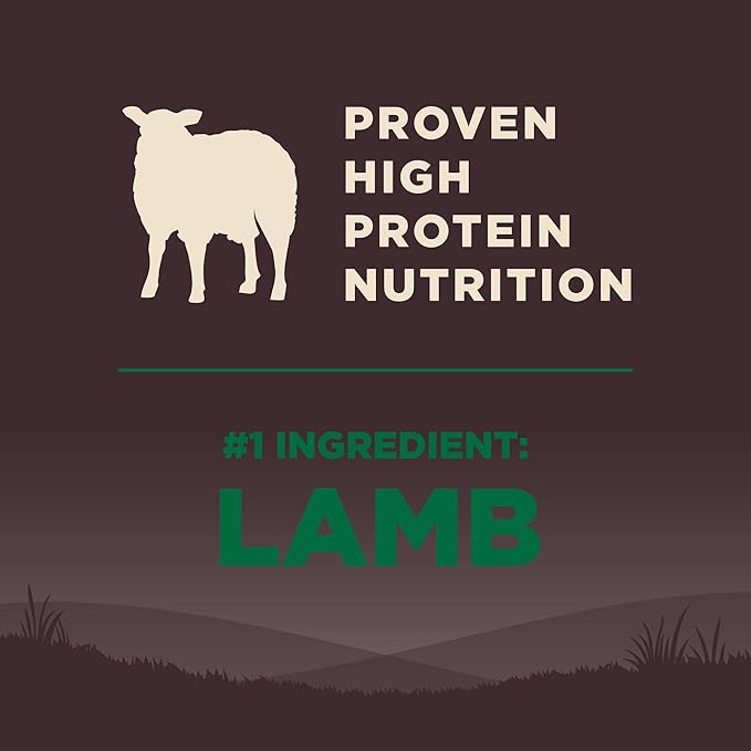 Wellness Core Natural Grain Free Dry Dog Food, Lamb, 4-Pound Bag - PAWPICO