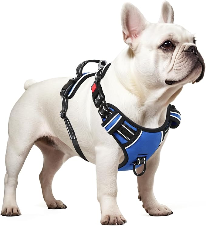Timos Dog Harness, No Pull Dog Harness 3 Snap Buckles Adjustable Reflective No Choke Pet Vest for Small Dog with Soft Padded Control Training Handle for Outdoor Training,Blue, XS Timos