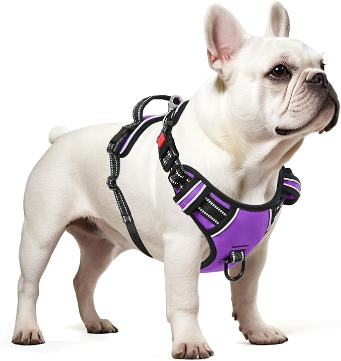 Timos Dog Harness Small Sized, No Pull Dog Harness with Neck Lockable Snap,No Choke Front Clip Dog Reflective Harness,Adjustable Metal Rings 3 Buckles,Easy Control Handle for Small Dogs Purple XS Timos