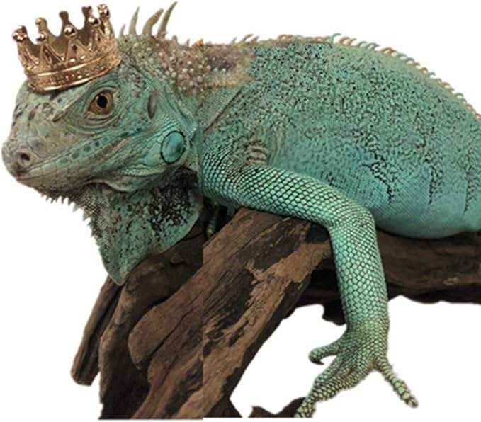 HAICHEN TEC Lizard Crown Lizard Clothes Accessories Gold Alloy Crown Cool Reptile Costume Photo Props Party Jewelry Lizard Clothes for Bearded Dragons Leopard Gecko Iguana Amphibians (Crown) HAICHENTEC